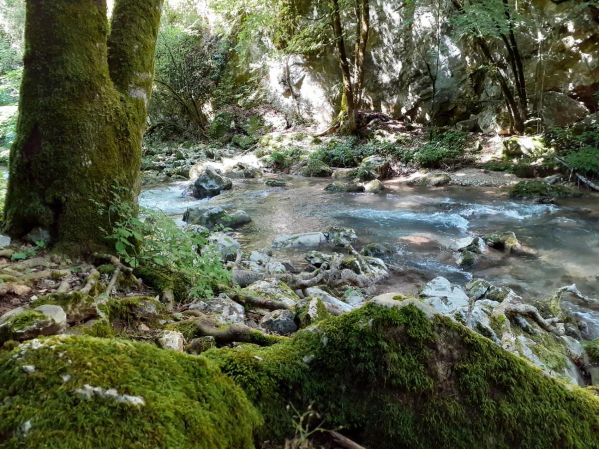 Casetta Nel Borgo Olevano Romano Eksteriør bilde