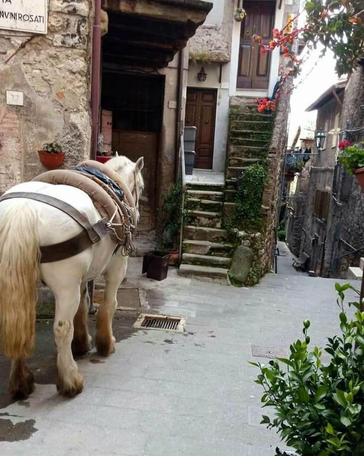 Casetta Nel Borgo Olevano Romano Eksteriør bilde